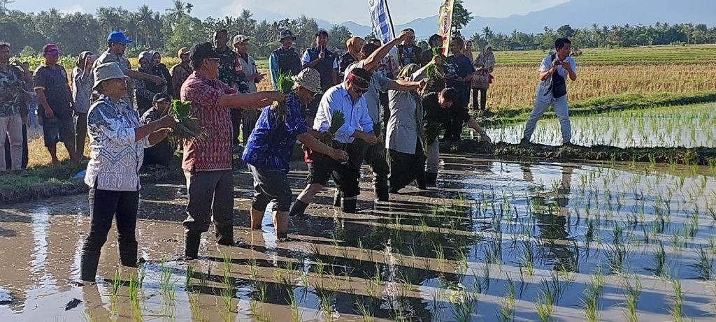 Gerakan Tanam Nasional  GERTAM