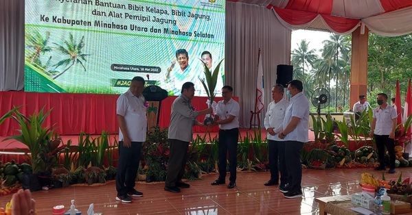 Kementan Dorong Petani Sulut Terus Membudidayakan Kelapa