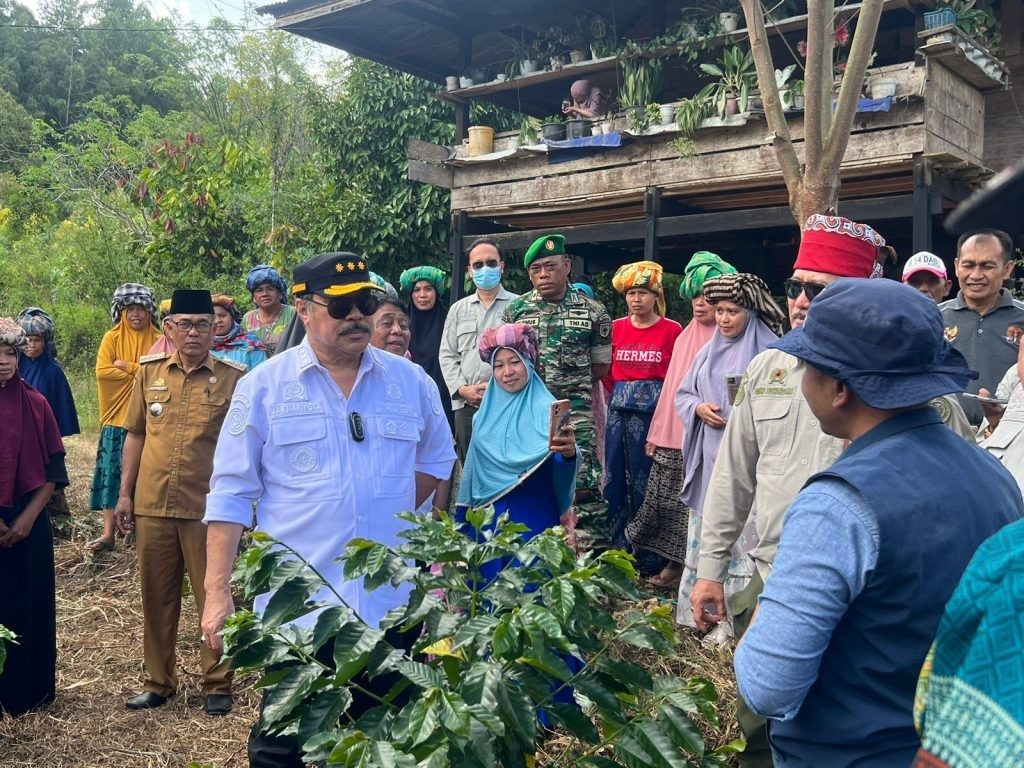 Kementan Dorong Kopi Tana Toraja Berkembang Jadi Kopi Terbaik Dunia