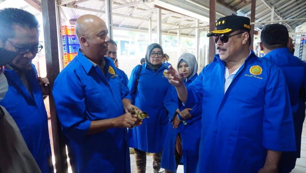 Irjen Kementan Mengawal Produksi Bibit Ternak Unggul Berkualitas di Kalimantan Selatan