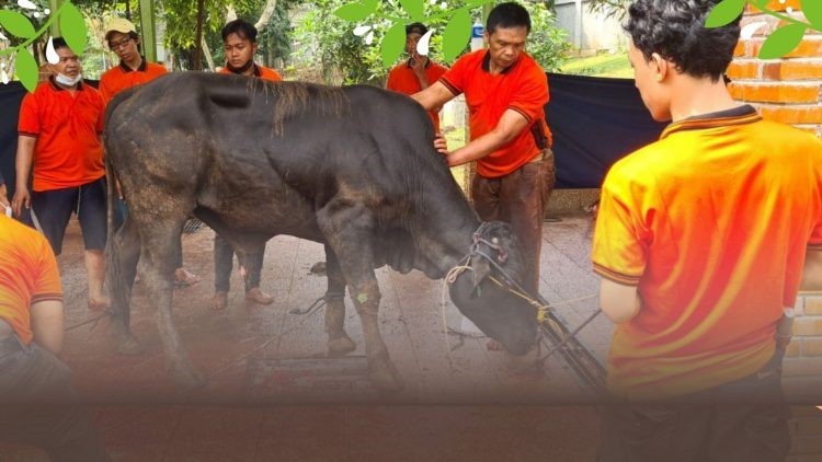 Idul Adha 1442H, Semangat Berbagi di Tengah Pandemi Covid-19