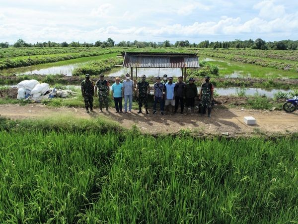 ITJEN MONITORING PROGRESS FISIK FOOD ESTATE KALIMANTAN TENGAH