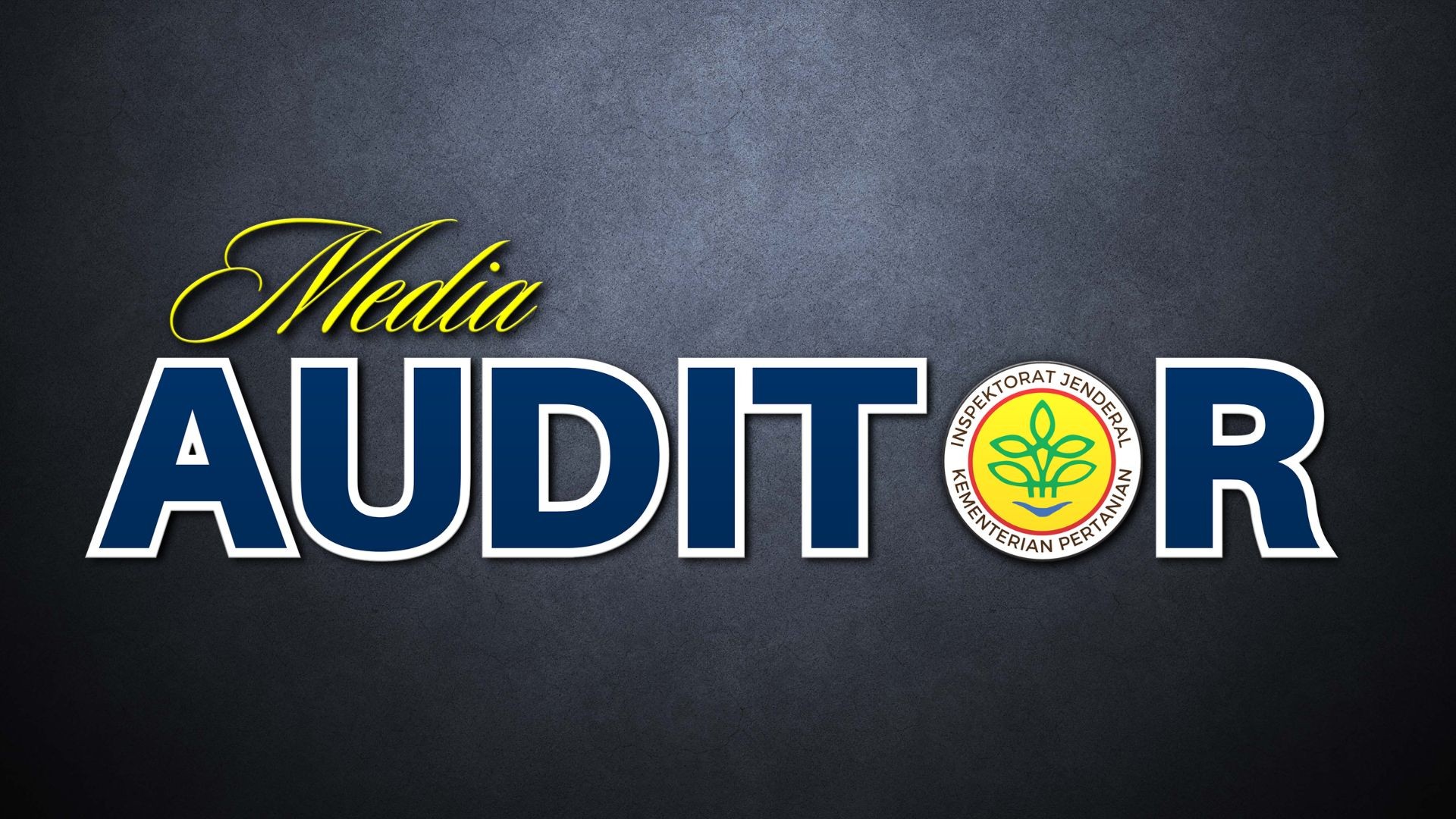 MEDIA AUDITOR