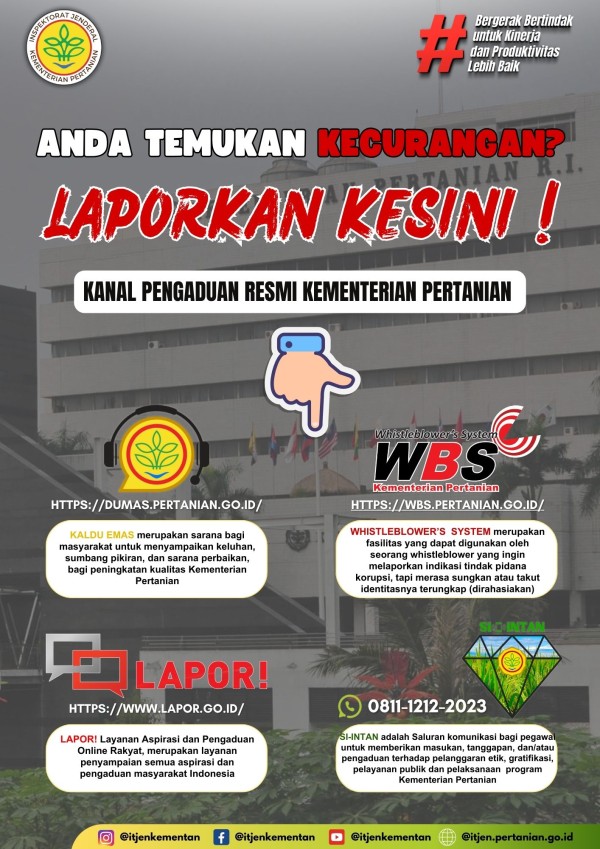 Infografis 1