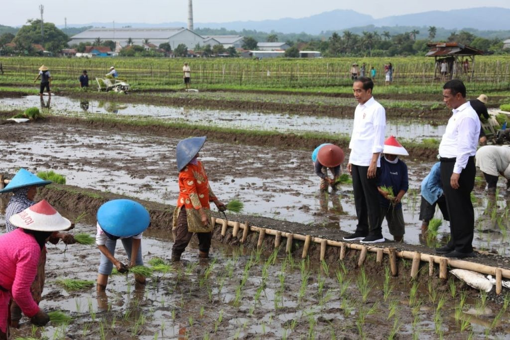 Presiden Ajak Petani Jawa Tengah Percepat Tanam di Bulan Januari 2024